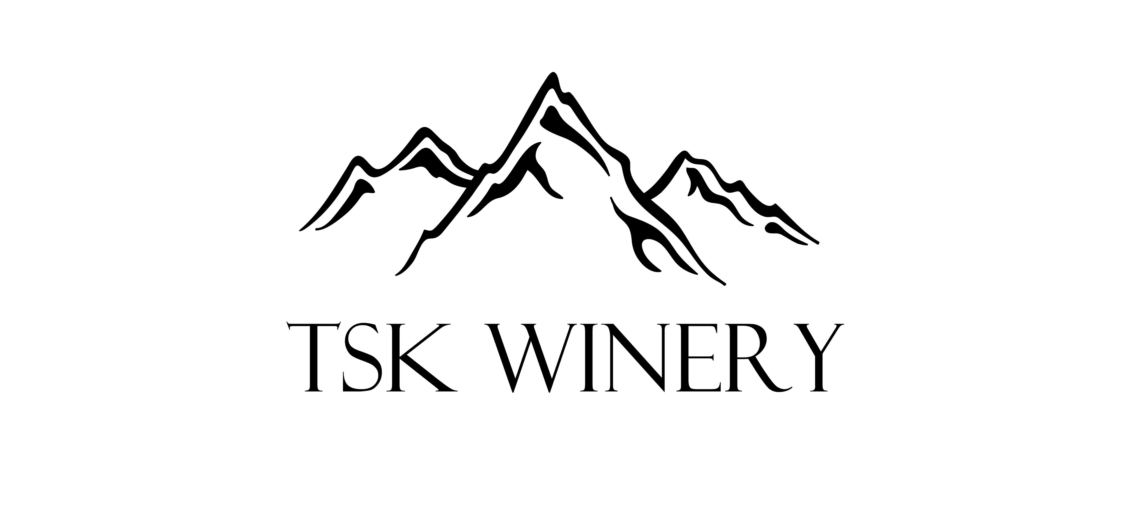 company_background